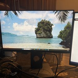 Dell 22” Monitor