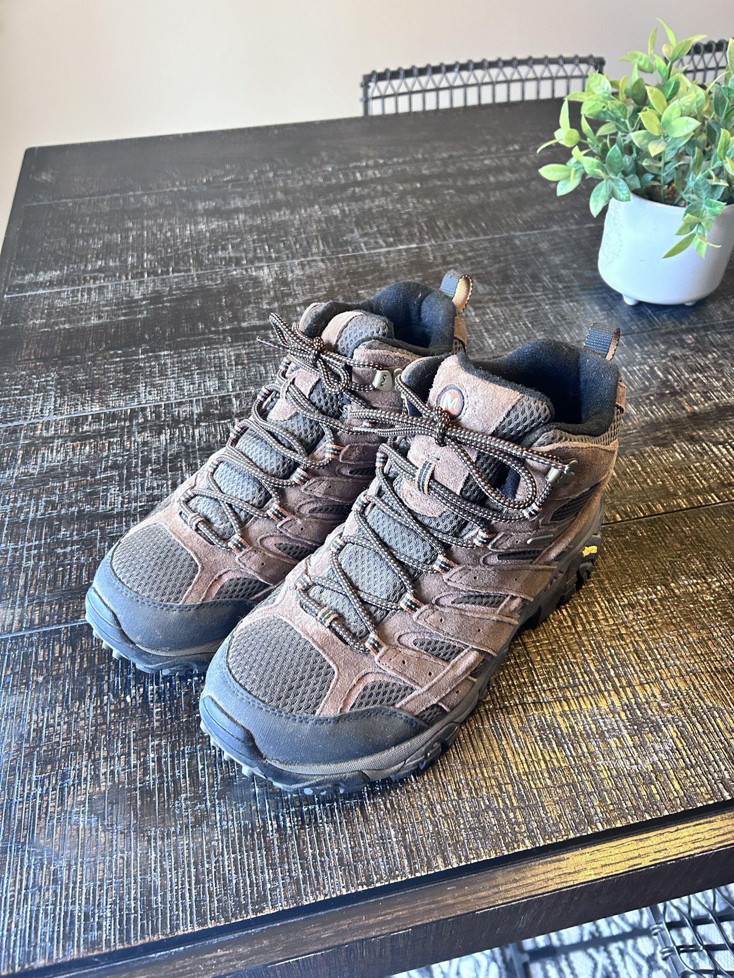 Merrell Men's Moab 2 Waterproof Mid Hiking Boots - Earth