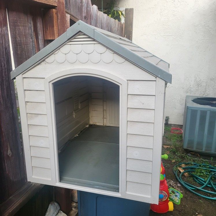 Dog House