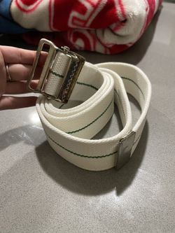 Lift Assist Belt