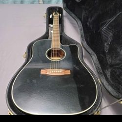 Guitar Takamine G Series 