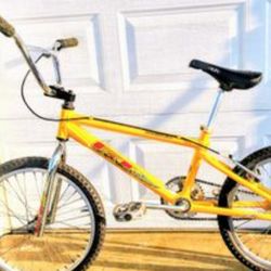 Gt Raider Bmx