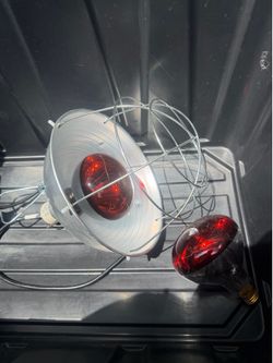 Chick Brooder Lamp
