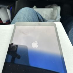iPad Mini 