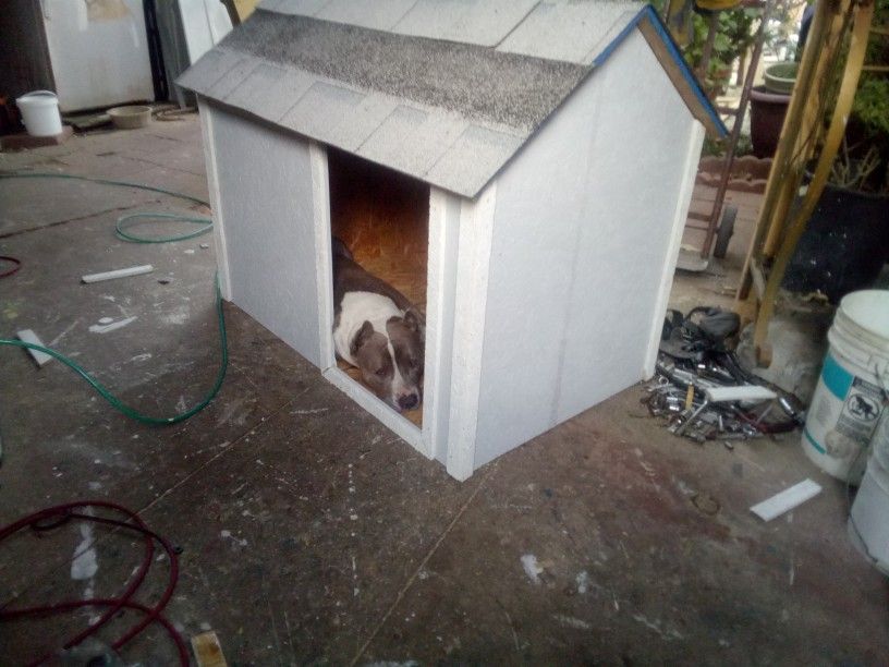Large Dog House