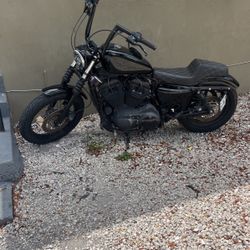 2009 Harley-Davidson Soft Till Sportster