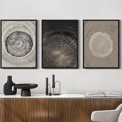 Boho Canvas Wall Art - Set Of 3 - Painted Tree Rings