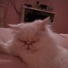 BETTY