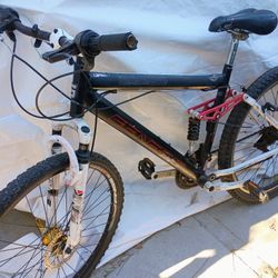 Customized Genesis Mountain Bike 