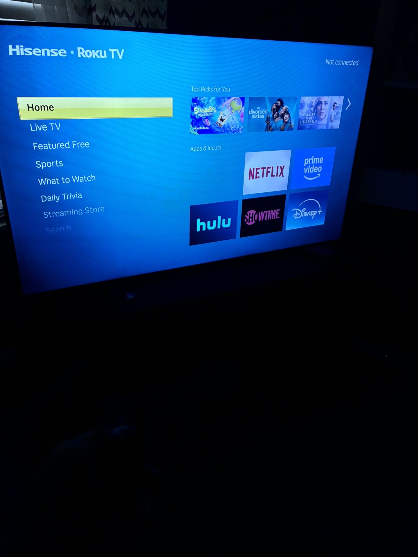 55 Inch Roku Tv