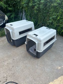 Dog kennels