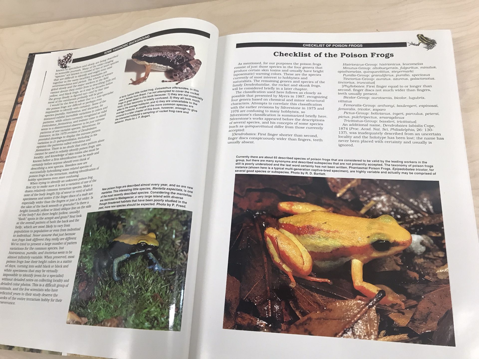 Book, Jewels Of The Rainforest Poison Frogs.