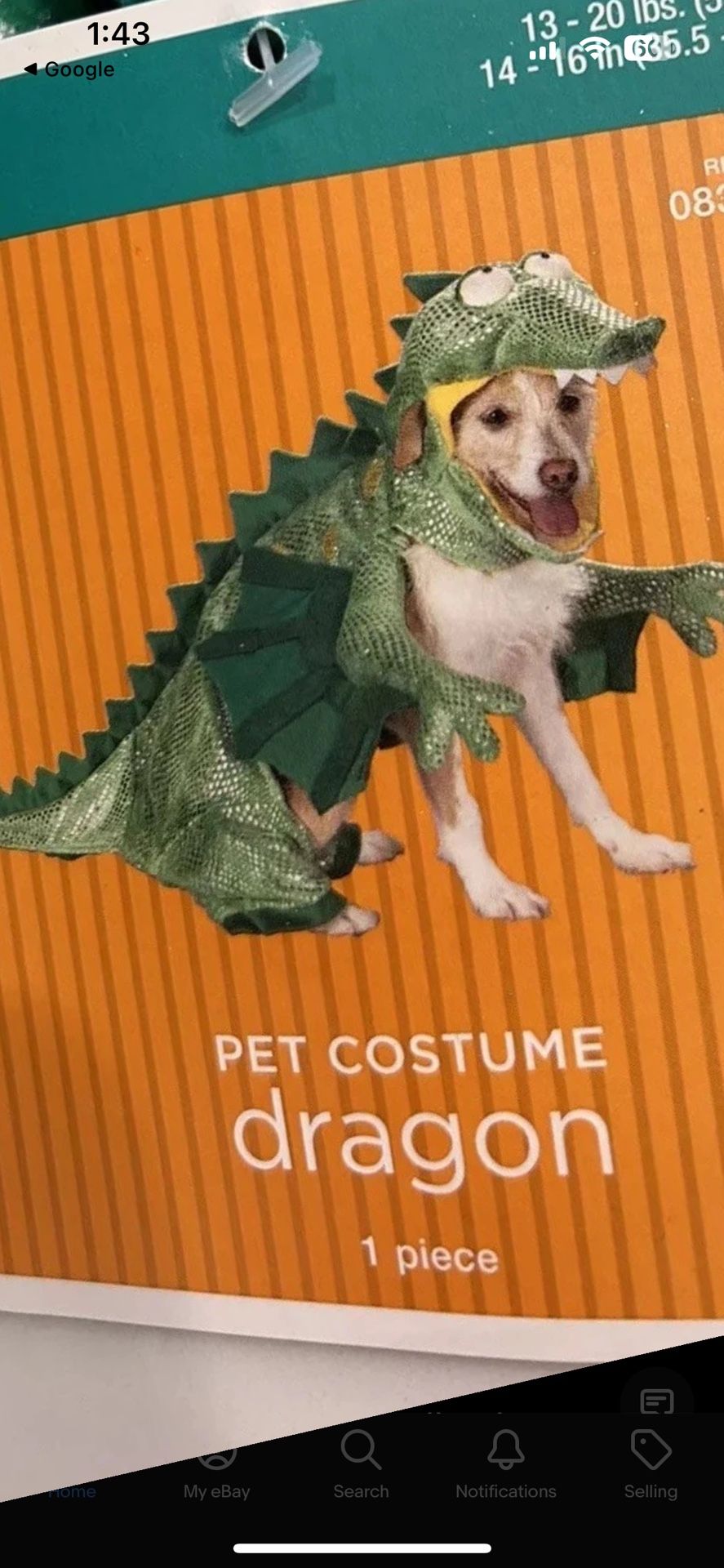 Dog Halloween Costume Dragon Large Cute Dino Green