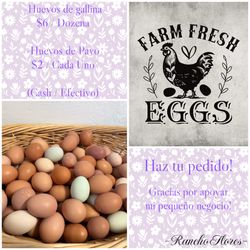 Farm fresh eggs!