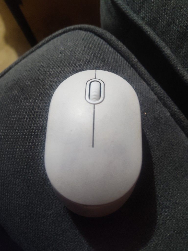 Mouse