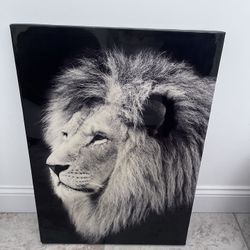 Lion Canvas Glossy 