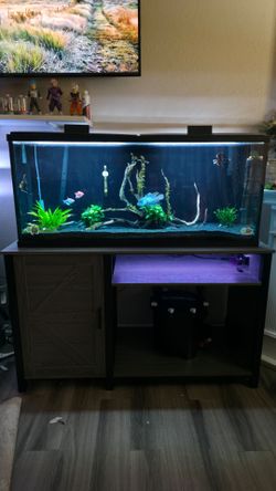55 gallon fish tank with stand