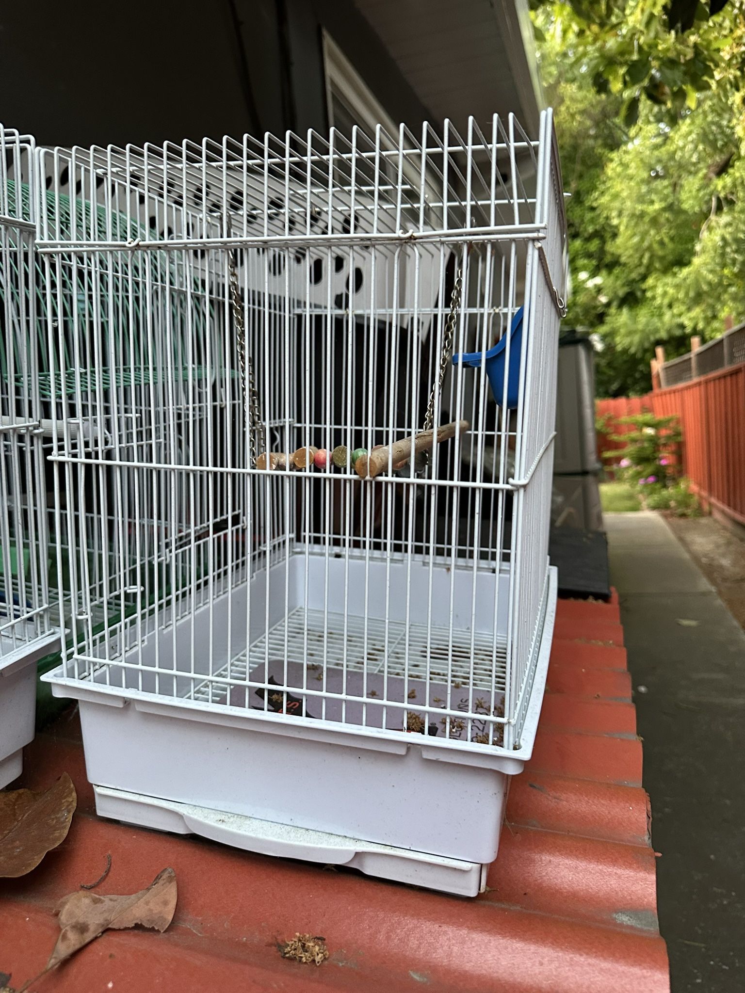 Bird Cage