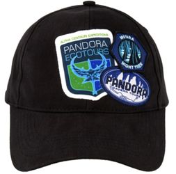 Disney Pandora Hat