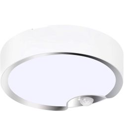 Motion Sensor Ceiling Light Battery Operated Indoor/Outdoor LED Ceiling Light