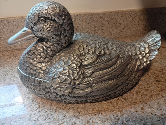 Silver Duck
