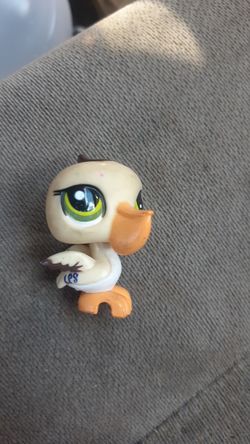 #1350 pelicanlittle pet shop