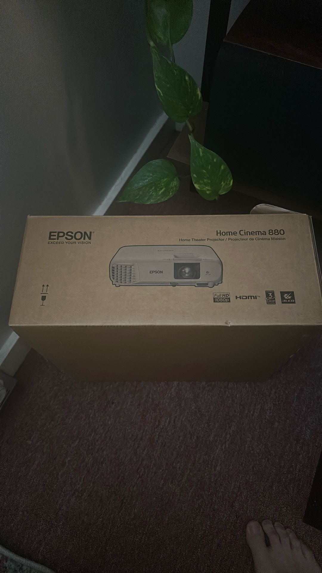 Barely Used Projector With Pull Down Screen 