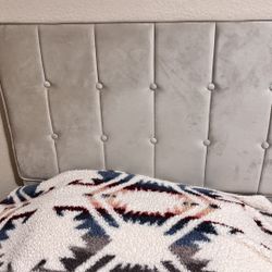 Bed! Clean.  No Mattress.  