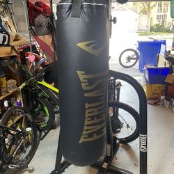 Everlast punching and overhead bag