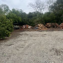 Firewood 