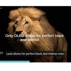 LG SMART TV OLED  Ai Thin Screen  Ultra HD Smart OLED TV 