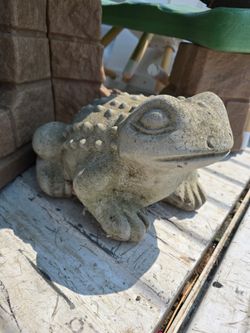 Concrete Frog
