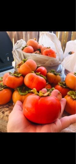 Organic Persimmons 🟠 $1.50per pound