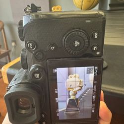Panasonic S5
