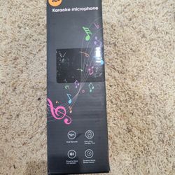 Karaoke Microphone 