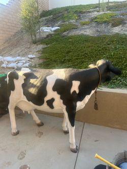 Fiberglass Cow Figure