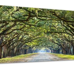 Green Forest Wall Art, Nature Canvas Print, Landscape Canvas Art for Home Wall Decor, Large Canvas