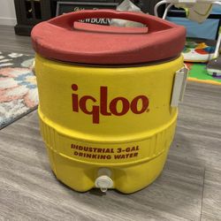 Igloo Water Cooler 