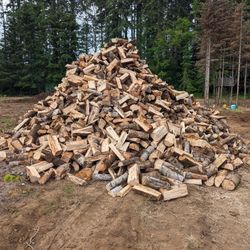 Seasoned Fir Firewood For Sale 