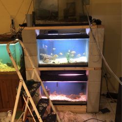 FISH TANKS