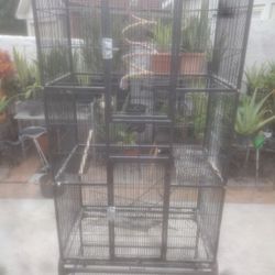 Bird Cage