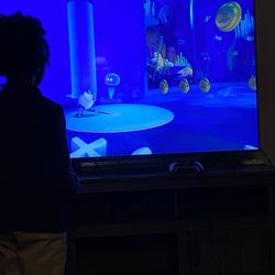 Samsung 65” Inch TV 