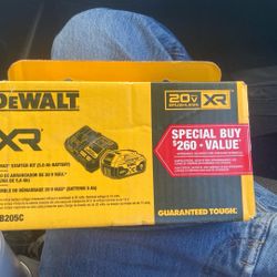 Dewalt 20v Max X-RAY Battery Starter  Kit
