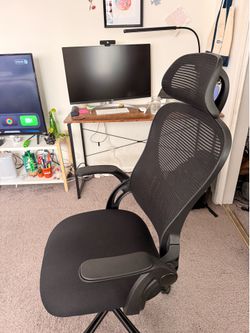 Ergonomic office chair -  $50