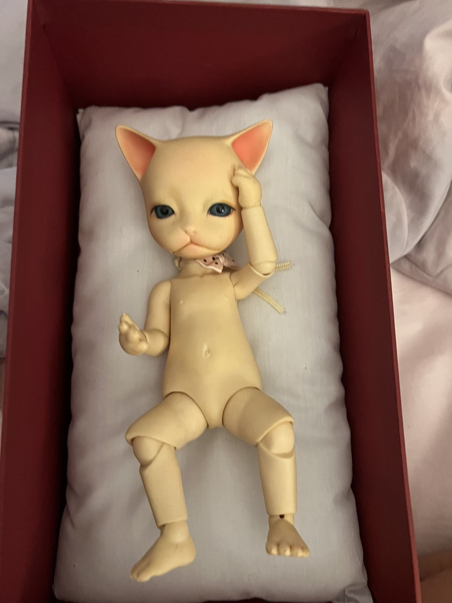 Rare Pipos Baja Cat Posable Figure