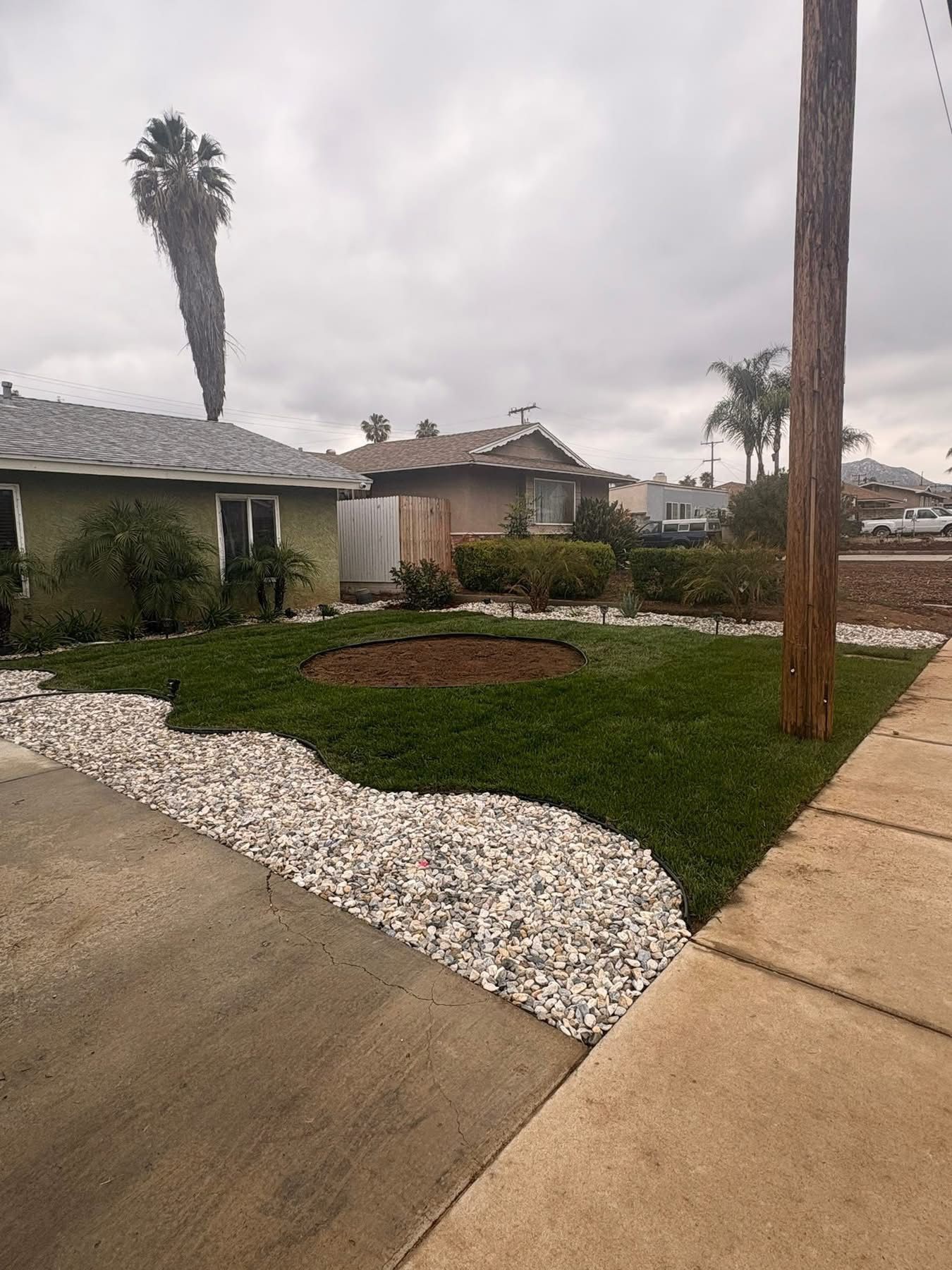 Sod Grass