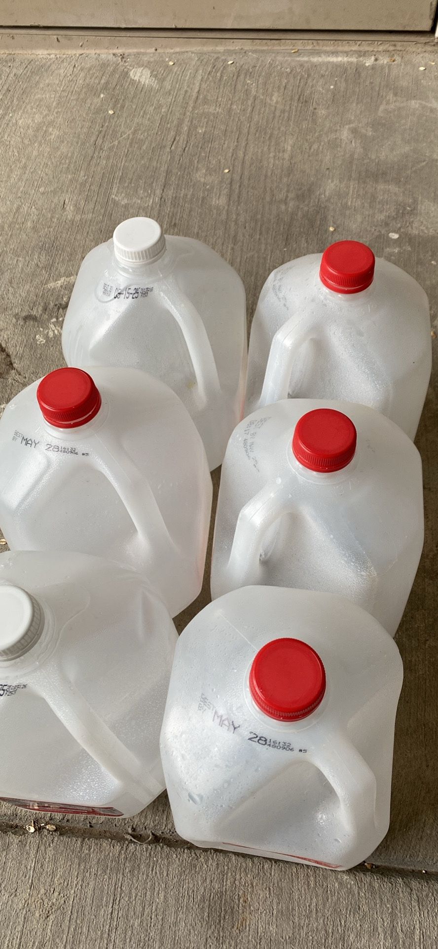 5-6 Free Empty Milk Cans