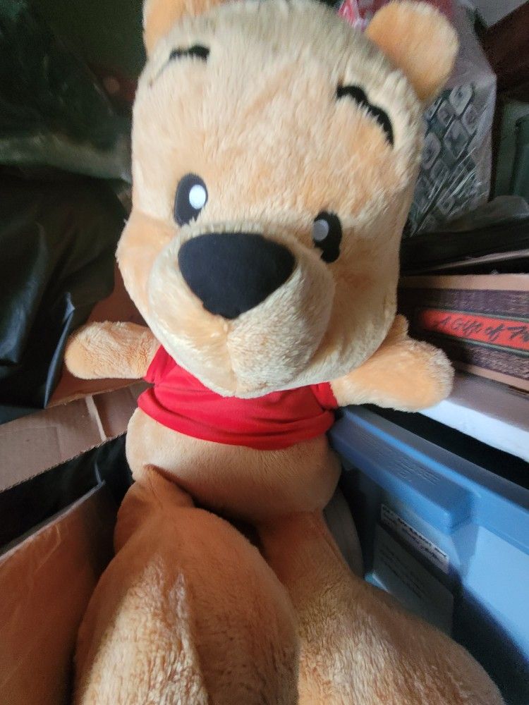Winnie The Pooh Disneyland Stuffed