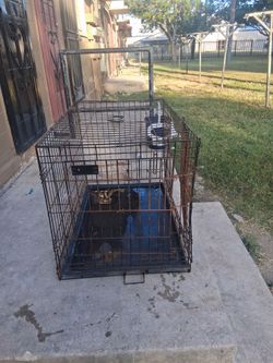 Large Metal Wire Dog Crate