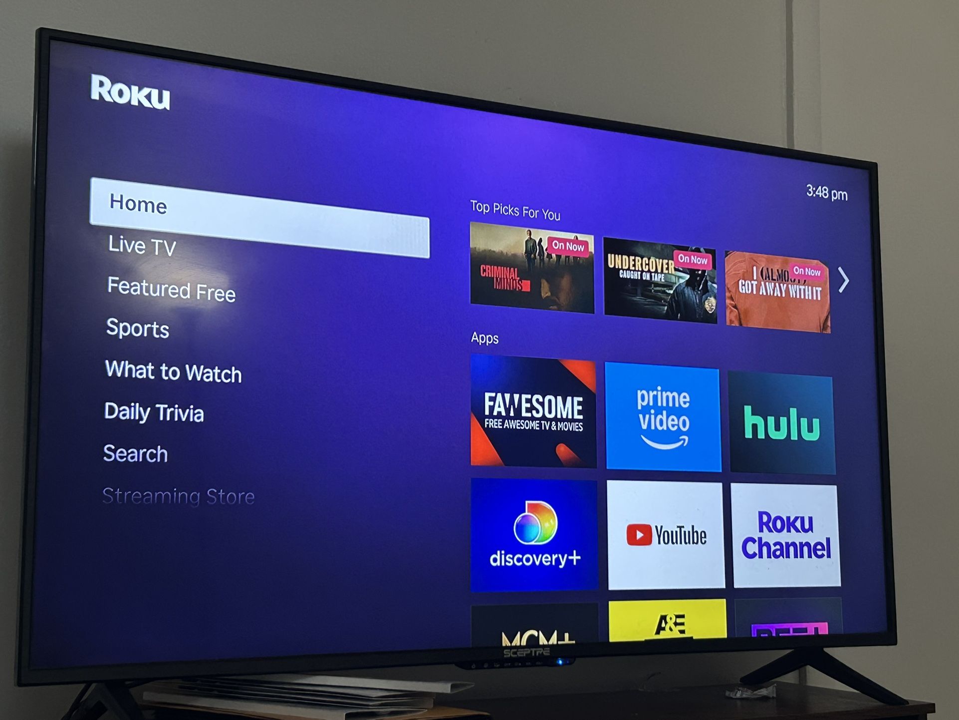 50 Inch Roku tv